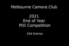 2021 End of Year Themed Images