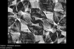 Chinese Lanterns - Elizabeth Jackson