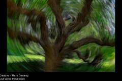 Just some Movement - Mark Devaraj