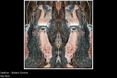 Tree face - Robert Groom