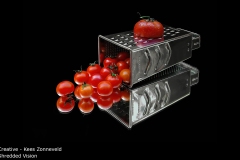 Shredded Vision  - Kees Zonneveld