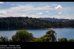 Cardinia reservoir lake forest - Matthew Leane