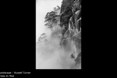 Trees In Mist - Russell Turner