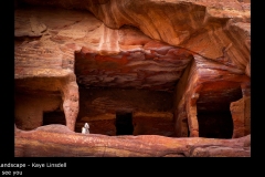 I see you - Kaye Linsdell