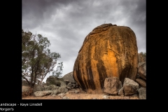 Morgan's - Kaye Linsdell