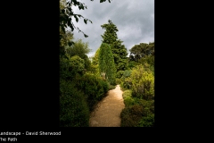 The Path - David Sherwood