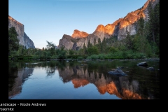 Yosemite - Nicole Andrews