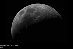 Moon - Paul Dodd