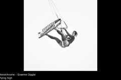 Flying high - Graeme Diggle