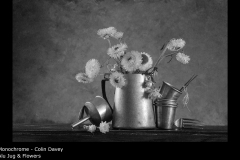 Alu Jug & Flowers - Colin Davey
