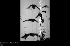 I Spy - Robyn Faris