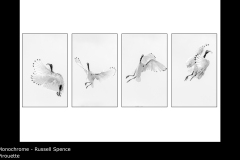Pirouette - Russell Spence