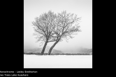 Two Trees Lake Kussharo - Lesley Bretherton