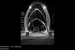 Going Home - Jim O'Donnell