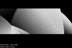 Sydney Opera House - Paul Dodd