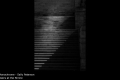Stairs at the Shrine  - Sally Paterson