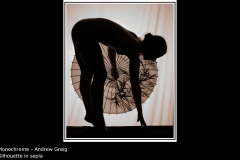 Silhouette in sepia - Andrew Greig