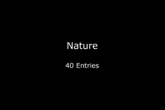 115.EoY2021.Nature.00.Title_.ID26ex2h.Nr40