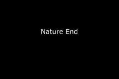 156.EoY2021.Nature.90.End-Title.ID26ex2h