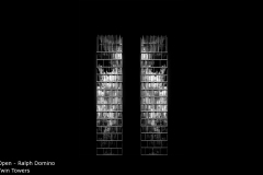 Twin Towers - Ralph Domino
