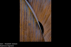 Meadmore Segment - Elizabeth Jackson
