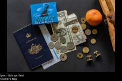 Traveller's Bag - Bob Warfield