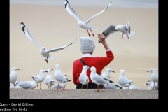 feeding the birds - David Gilliver