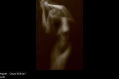 nude - David Gilliver