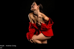 Aim - Andrew Greig