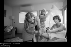 Julie's Wedding - Paul Dodd