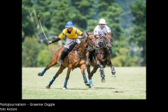 Polo Action - Graeme Diggle