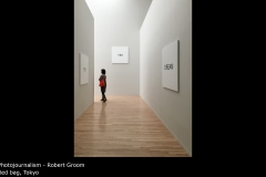 Red bag, Tokyo - Robert Groom