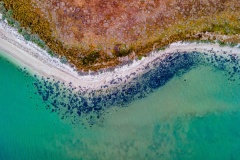 Rocky-Beach-Ruth-Woodrow-Commended-Open-A-Grade-PDI-Apr-2023