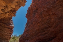 Rungutjirpa-Simpsons-Gap-Carrie-Simms-Commended-Set-Subject-B-Grade-PDI-Apr-2023