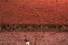 The-Perfect-Vantage-Point.-Frances-Egan-Best-Set-Subject-A-Grade-PDI-Apr-2023