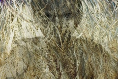 Truganini-The-Settlement-Ralph-Domino-Commended-Set-Subject-A-Grade-Print-Apr-2023