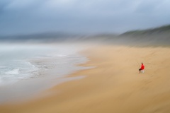 Beach-dreamer-Ken-Gosbell-Commended-Open-A-Grade-PDI-Aug-2023