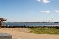 Cool-dude-Renate-Parton-Highly-Commended-Set-Subject-B-Grade-PDI-Aug-2023