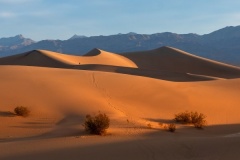 Dawn-Dunes-Nicole-Andrews-Best-Set-Subject-A-Grade-PDI-Aug-2023