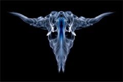 Incense-Smoke-Alison-Crea-Highly-Commended-Open-B-Grade-PDI-Aug-2023