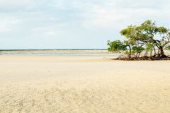 2023 AUG Print Awards: Judge - Steve Scalone; Set Subject - Panorama