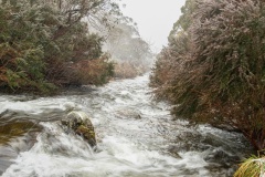 Feel-the-cold-Renate-Parton-Commended-Open-B-Grade-Print-Aug-2023