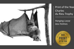 2023 End of Year Awards