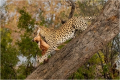 Dinner-time-Gary-Richardson-Commended-Open-A-Grade-Print-Feb-2023-