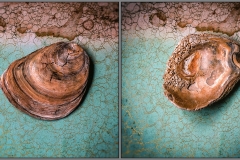 Lilliput-and-Blefuscu-Russell-Spence-Commended-Open-A-Grade-Print-Feb-2023-