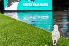 Heroes-Wear-Masks-Lesley-Bretherton-Best-Set-Subject-A-Grade-PDI-Jul-2023