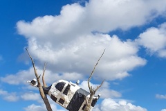 What-a-lovely-day-Rafael-Alton-Highly-Commended-Set-Subject-B-Grade-PDI-Jul-2023