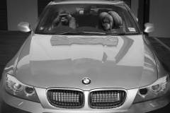 My-BMW-Mark-Devaraj-Commended-Set-Subject-A-Grade-Print-Jul-2023