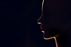 All-Lit-Up-Frances-Egan-Commended-Open-A-Grade-PDI-Jun-2023