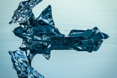 Bird-In-Flight-Russell-Turner-Highly-Commended-Open-B-Grade-PDI-Jun-2023